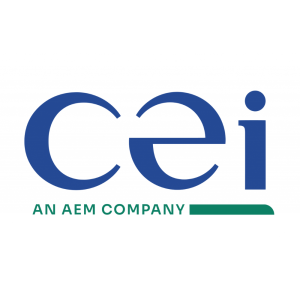 CÔNG TY TNHH CEI INTERNATIONAL INVESTMENTS (VN)