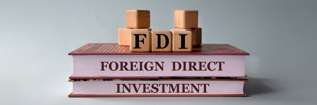 FDI-manufacturing-Vietnam-1_778.png